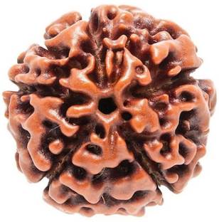 PETRICHOR 5 mukhi Nepali rudraksha bead Wood Locket