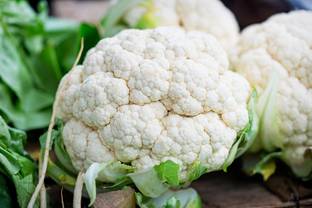 Faabiie F1 Hybrid Cauliflower, cabbage flower, Phool Gobhi Seed