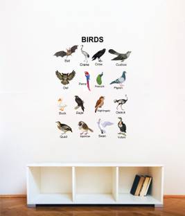 Decal O Decal 100 cm ' Birds with Names For Kids Learning ' Kids Nursery Wall Stickers Self Adhesive Sticker