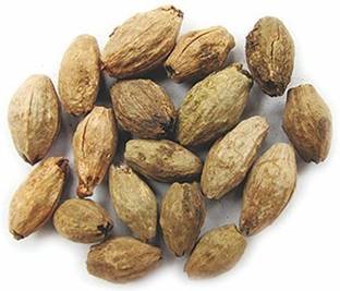 ORGANIC HERBS NEEM SEED Seed