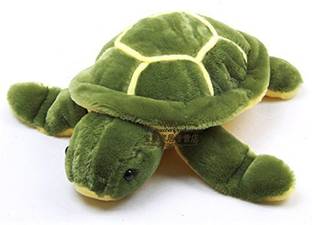 Raadya Stuffed Soft Cute Turtle Toy (40cm) Large  - 40 cm