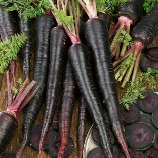 R-DRoz Black Carrot Vegetables Quality Vegetables Seeds - Pack of 100 Seeds Premium Quality Seed