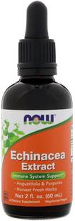 Now Foods Echinacea Extract, 2 fl oz (60 ml)