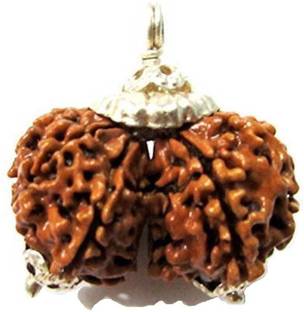 Jewelswonder 100% Original & Natural Gauri Shankar Rudraksha, Nepal Originated, With Silver Coated Capping Rudrakash Wood Pendant