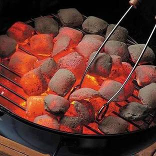 Bharath Agencies Coconut Barbeque Wood Logs