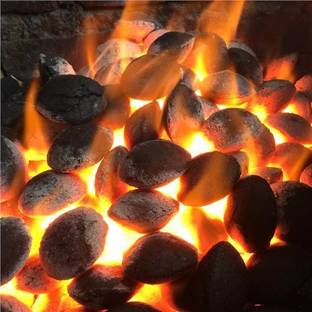 Bharath Agencies Coconut Barbeque Wood Chunks
