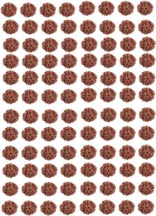 CHEZEL 5 mukhi rudraksha Nepal 108 pcs with hole Shell