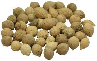 Naturewell PUTRAJEEVAK BEEJ - JIYA POTA SEEDS - PUTRA JIVAK BEEJ - PUTRA JEEVAK BEEJ (250 gram Per pack) Seed
