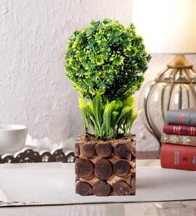 Litleo Bonsai Artificial Plant  with Pot