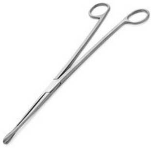 Agarwals Ovum Forcep Large Cup Straight(Pack Of 1)548/*-+egb%%^ Fragment Forceps