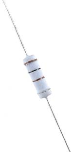 SME 100 Ohm 1 Watt Fixed Resistor