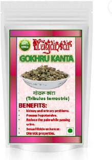 YUGANTAR GOKHRU KANTA Seed