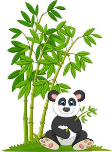 Flipkart SmartBuy 57 cm Transparent Art 540 Self Adhesive Sticker