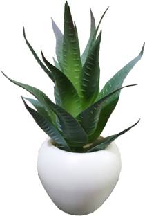 BK Mart Imported High Quality Aloevera Plant Artificial Plant  with Pot
