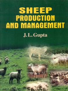 Sheep Production and Management