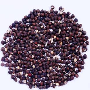 Green India Semal Seed / Silk Cotton Tree Seed / Bombax Ceiba Seed Seed