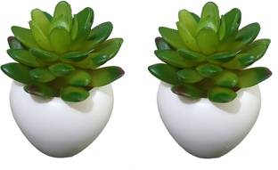 BK Mart Set of 2 Imported Lotus Cactus Plant Artificial Plant  with Pot
