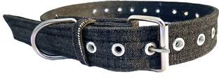Peto lovers Dog Show Collar