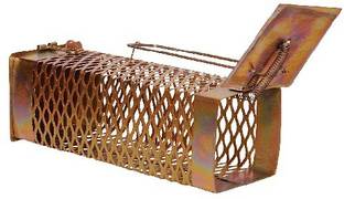 ChuheDaan mouse-cage-1 Live Trap
