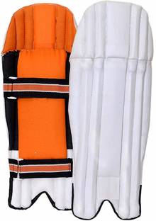 AVATS Complete Leg Protection Wicket Keeping Leg Men's (39 - 43 cm) Wicket Keeping Pad