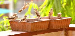 hc the crafts Earthen Pot Terracotta Bird Bath, Earth Brown pack of 2 Regular Bird Bath