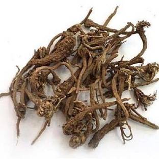 VINARGHYA Akkalkada Jad / Anacyclus Pyrethrum Root / Akkalkara / Akallaka / Kulekhara / Akarakara / Akkalkaro / Akkalgaro / Akkallakara / Akikaruka / Akravu / Aquaraqarha Seed