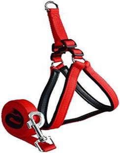 DSW Dog Harness & Leash