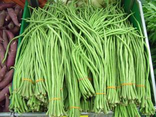 CooPany LONG YARD BEANS / KARAMANI / LONG COWPEA SEEDS 150 SEEDS Seed