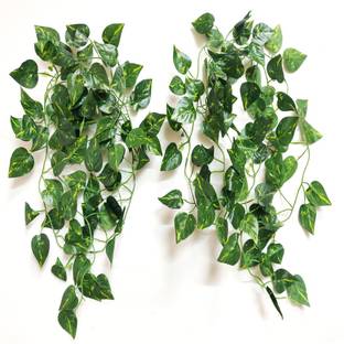 artificial hub MONEY PLANT WALL HANGING Green Wild Flower Artificial Flower