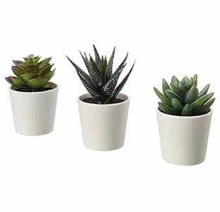 IKEA Artificial Potted Indoor/Outdoor Succulent Plants Artificial Plant  with Pot