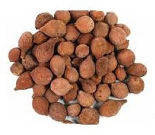 VINARGHYA Behera / Behada / Terminalia Bellirica Roxb / Vibhitak / Aksha / Karshaphal / Kalidrum / Bayeda / Vadikaya Seed
