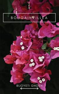 Bougainvillea