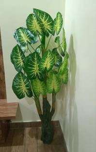 KOONIV 5 feet Artificial Money Plant Green Tree - Natural Looking बोनसाई नकली पौधा पॉट के साथ