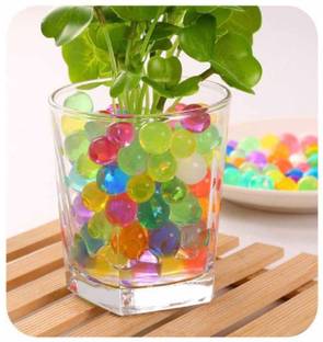 Green Plant indoor Jelly16 Vase Filler