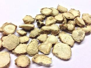 WILD FOREST Kapoor Kachri - Ekangi - Hedychium Spicatum - Spiked Ginger Lily (100 g)