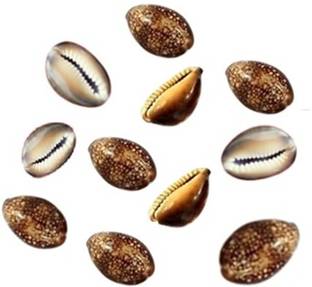 NITIXA Lakshmi Kauri | Vishnu Lakshmi Kauri | Kali Kaudi Large | Kauri Yantra | Kauri Shells – 11 Pcs. Stoneware Yantra