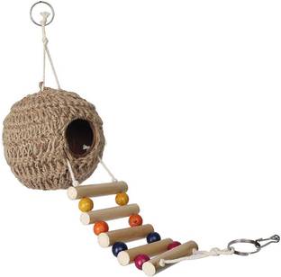 BOYU Wooden Training Aid For Bird
