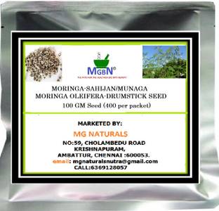 MGBN MORINGA-SAHIJAN/MUNAGA-MORINGA OLEIFERA-DRUMSTICK SEED-100 GM (400 SEEDS) Seed