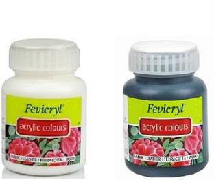 Fevicryl Monochrome Acrylic Colours 100 ml each
