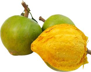 Nema Lucuma Nervosa Egg Yolk Fruit Seeds-10Pcs Seed