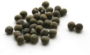 VibeX Okra Organic F1 Hybrid Seeds Seed