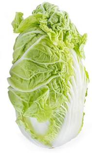 VibeX Chinese Cabbage Seed