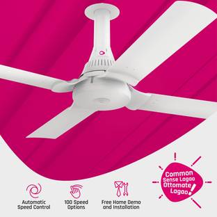 ottomate Smart Standard Plus with 2 Year Warranty Silent Operation 1250 mm Ceiling Fan