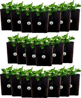 Grow Basket Grow Bag - UV Stabilized, Long Life Bags for Small and Medium Plants ( Pack of 20 Bags - Size: 30 x 16 x 16 cm) + ( 5 Vegetables seeds packets) Seed