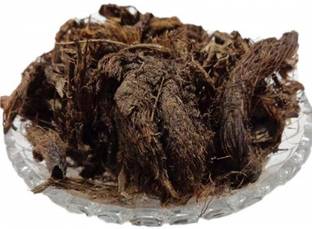 Nature Green JATAMANSI ROOT, BALCHAD, JATAMASI JADD, NARDOSTACHYS JATAMANSI Seed