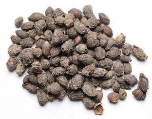 Nature Green JAAMUN SEEDS, JAMUN GUTHLI, SYZYGIUM CUMINI Seed
