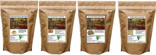 WILD FOREST Natural Fitness ( Ashwagandha,Shatavari,Safed Musli Kaunch ) Powder 50 gm Each