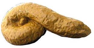 PMW Wonderful Prank Item. Fun Item, April Fool Item, Prank Gift Item, Prank Birthday Gift Item - Fake Potty prank toy Gag Toy