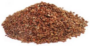 Nature Green TALMAKHANA SEEDS, TAAL MAKHANA BEEJ, TAAL MAKHANA BEEJ, ASTERACANTHA LONGIFOLIA Seed