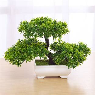 Devnidhi agri products Artificial Flower/Plant for Home, Office And Garden Decor Bonsai Wild Artificial Plant  with Pot